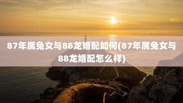 87年属兔女与88龙婚配如何(87年属兔女与88龙婚配怎么样)