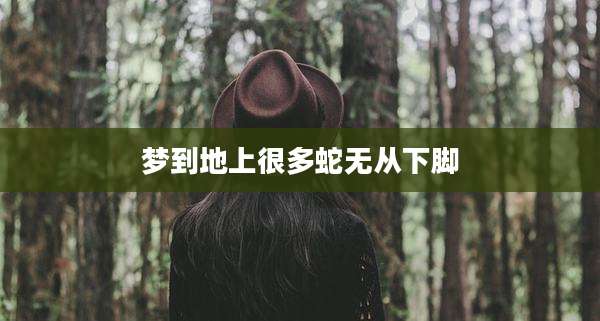梦到地上很多蛇无从下脚