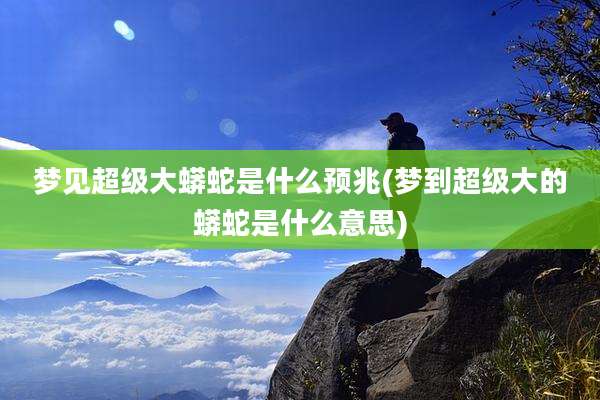 梦见超级大蟒蛇是什么预兆(梦到超级大的蟒蛇是什么意思)