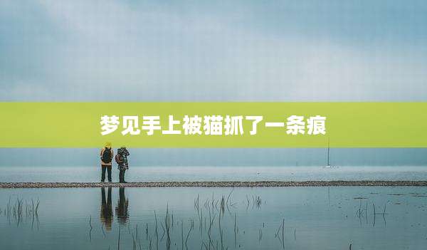 梦见手上被猫抓了一条痕