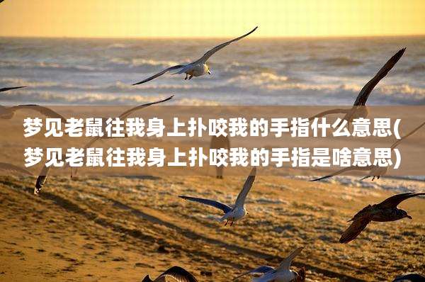 梦见老鼠往我身上扑咬我的手指什么意思(梦见老鼠往我身上扑咬我的手指是啥意思)