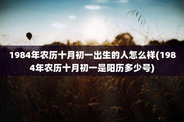 1984年农历十月初一出生的人怎么样(1984年农历十月初一是阳历多少号)