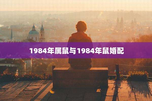 1984年属鼠与1984年鼠婚配