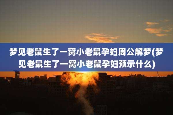 梦见老鼠生了一窝小老鼠孕妇周公解梦(梦见老鼠生了一窝小老鼠孕妇预示什么)
