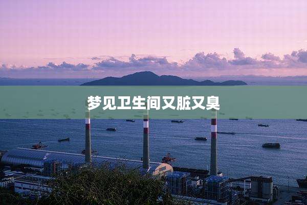 梦见卫生间又脏又臭