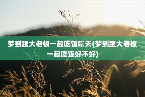梦到跟大老板一起吃饭聊天(梦到跟大老板一起吃饭好不好)