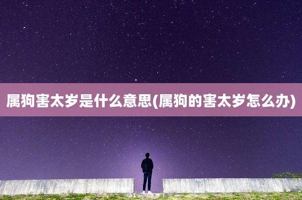 属狗害太岁是什么意思(属狗的害太岁怎么办)