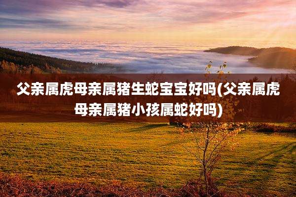 父亲属虎母亲属猪生蛇宝宝好吗(父亲属虎母亲属猪小孩属蛇好吗)