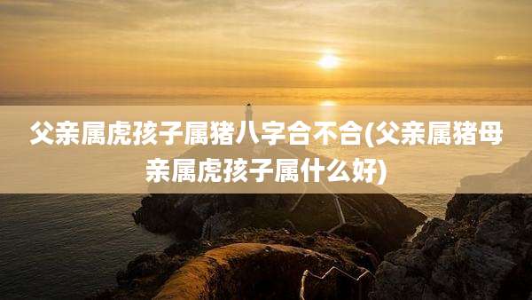 父亲属虎孩子属猪八字合不合(父亲属猪母亲属虎孩子属什么好)