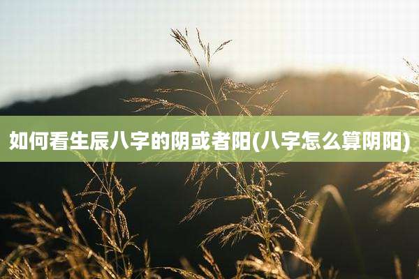 如何看生辰八字的阴或者阳(八字怎么算阴阳)