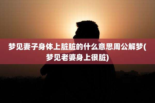 梦见妻子身体上脏脏的什么意思周公解梦(梦见老婆身上很脏)