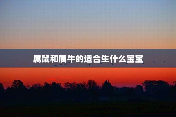 属鼠和属牛的适合生什么宝宝