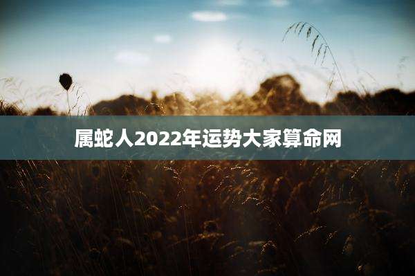 属蛇人2022年运势大家算命网