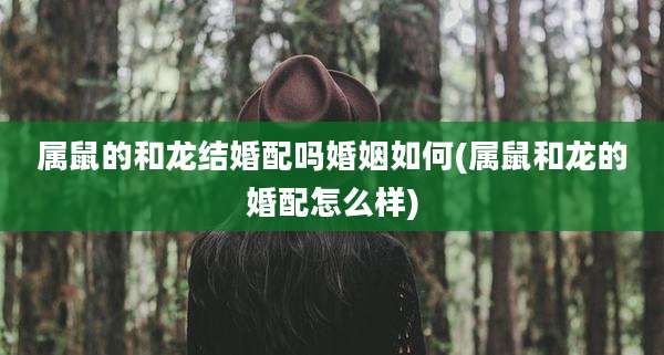 属鼠的和龙结婚配吗婚姻如何(属鼠和龙的婚配怎么样)
