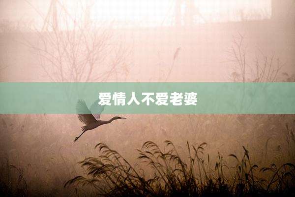 爱情人不爱老婆