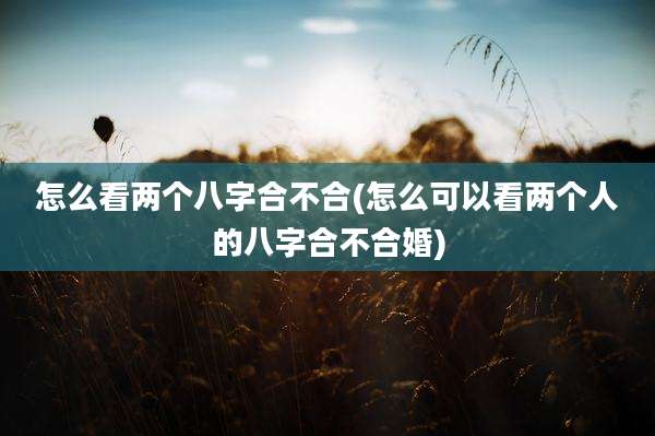 怎么看两个八字合不合(怎么可以看两个人的八字合不合婚)