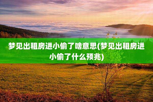 梦见出租房进小偷了啥意思(梦见出租房进小偷了什么预兆)