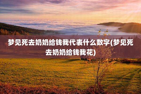 梦见死去奶奶给钱我代表什么数字(梦见死去奶奶给钱我花)