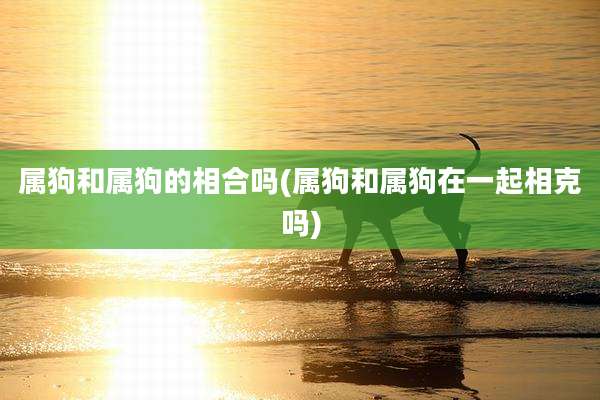 属狗和属狗的相合吗(属狗和属狗在一起相克吗)