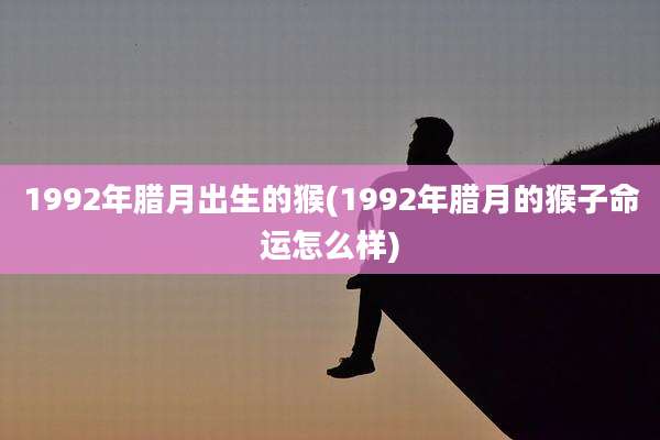 1992年腊月出生的猴(1992年腊月的猴子命运怎么样)