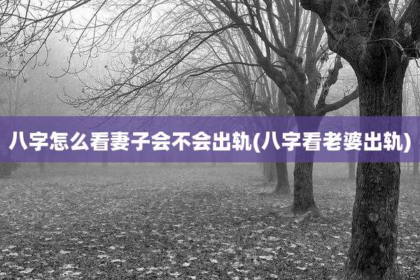 八字怎么看妻子会不会出轨(八字看老婆出轨)