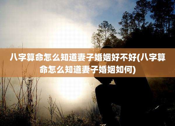 八字算命怎么知道妻子婚姻好不好(八字算命怎么知道妻子婚姻如何)