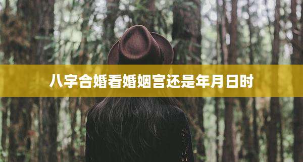 八字合婚看婚姻宫还是年月日时
