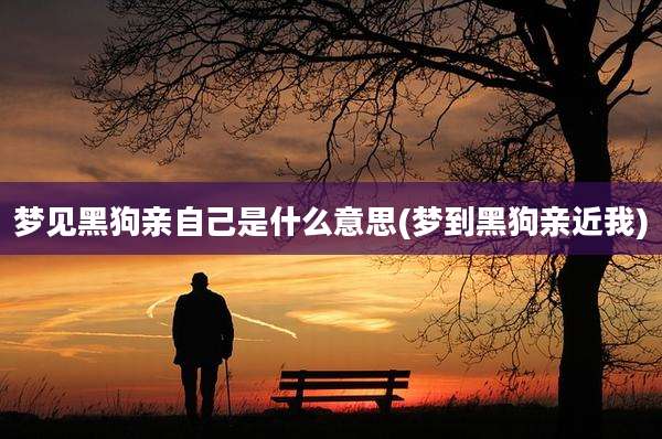 梦见黑狗亲自己是什么意思(梦到黑狗亲近我)