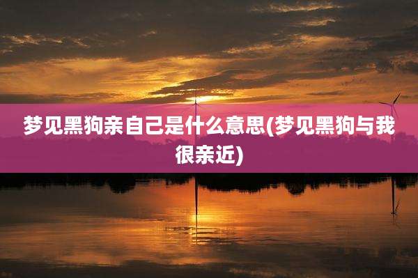 梦见黑狗亲自己是什么意思(梦见黑狗与我很亲近)