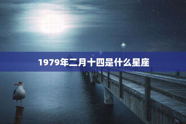 1979年二月十四是什么星座