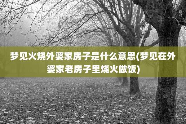 梦见火烧外婆家房子是什么意思(梦见在外婆家老房子里烧火做饭)