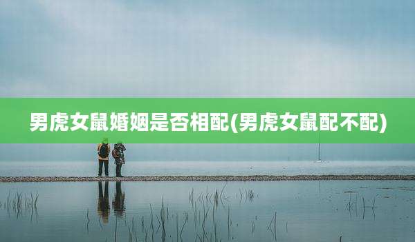 男虎女鼠婚姻是否相配(男虎女鼠配不配)