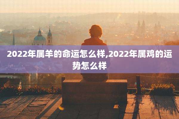 2022年属羊的命运怎么样,2022年属鸡的运势怎么样