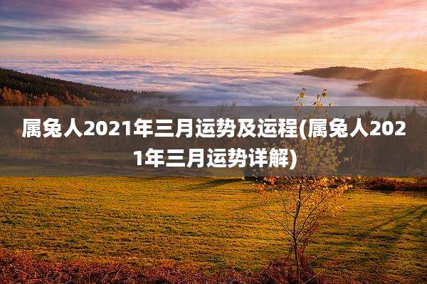 属兔人2021年三月运势及运程(属兔人2021年三月运势详解)