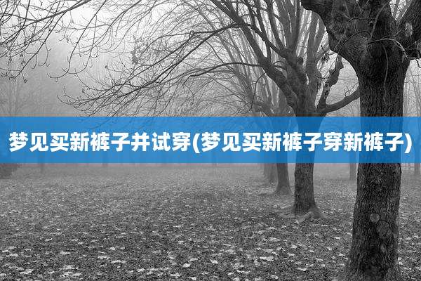 梦见买新裤子并试穿(梦见买新裤子穿新裤子)