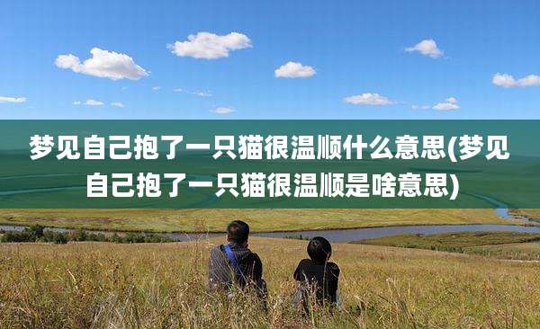 梦见自己抱了一只猫很温顺什么意思(梦见自己抱了一只猫很温顺是啥意思)