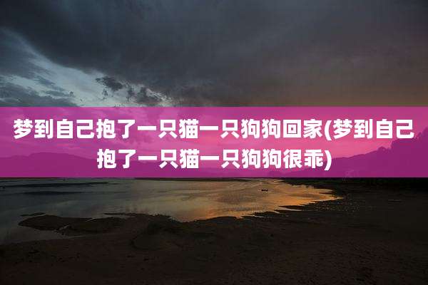 梦到自己抱了一只猫一只狗狗回家(梦到自己抱了一只猫一只狗狗很乖)