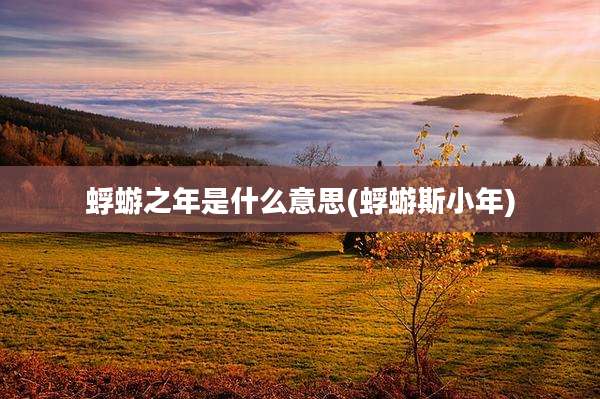 蜉蝣之年是什么意思(蜉蝣斯小年)