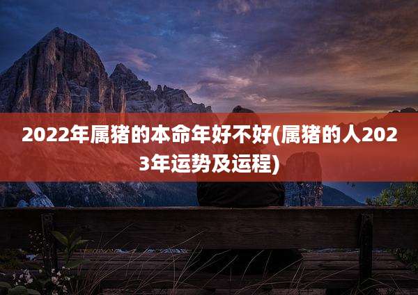 2022年属猪的本命年好不好(属猪的人2023年运势及运程)