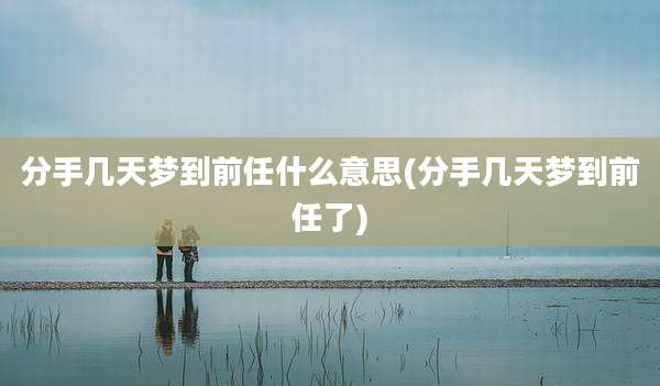 分手几天梦到前任什么意思(分手几天梦到前任了)