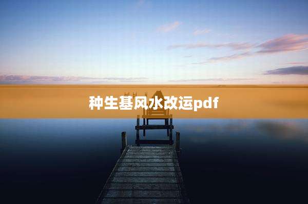 种生基风水改运pdf