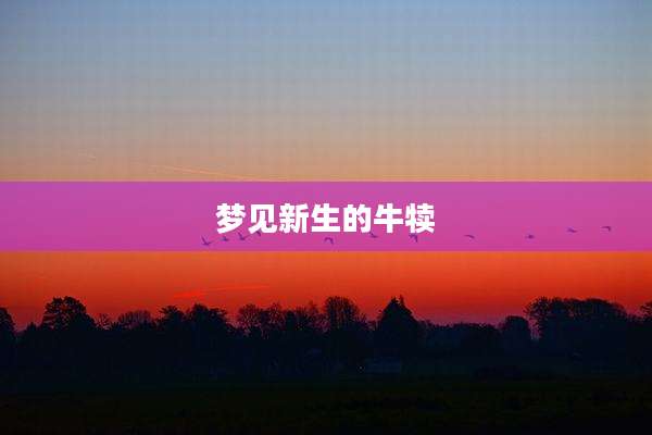 梦见新生的牛犊
