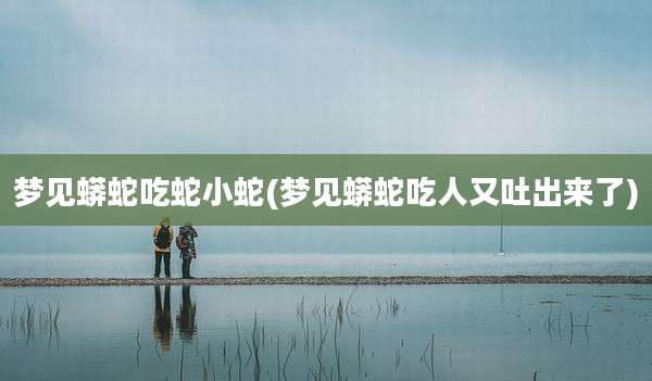 梦见蟒蛇吃蛇小蛇(梦见蟒蛇吃人又吐出来了)