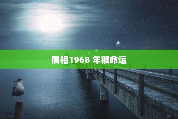 属相1968 年猴命运