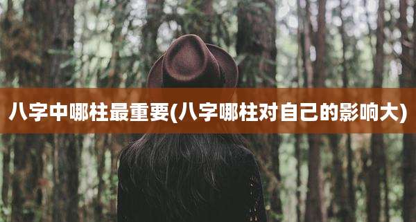 八字中哪柱最重要(八字哪柱对自己的影响大)