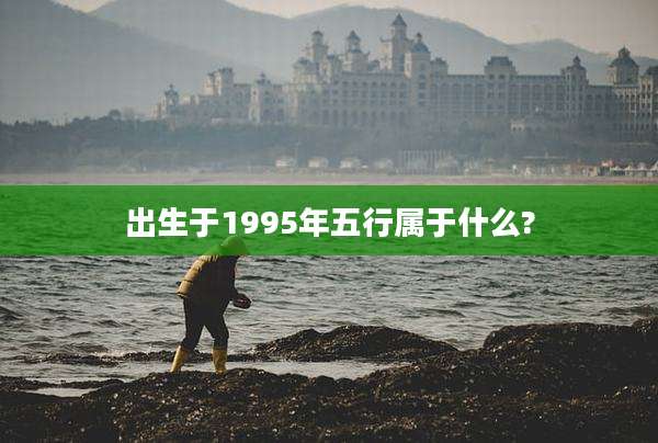 出生于1995年五行属于什么?