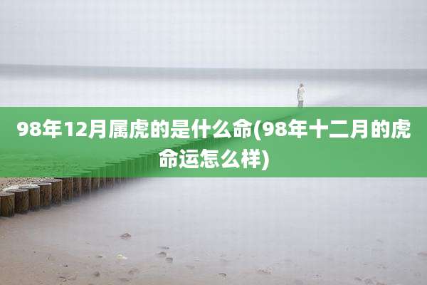 98年12月属虎的是什么命(98年十二月的虎命运怎么样)
