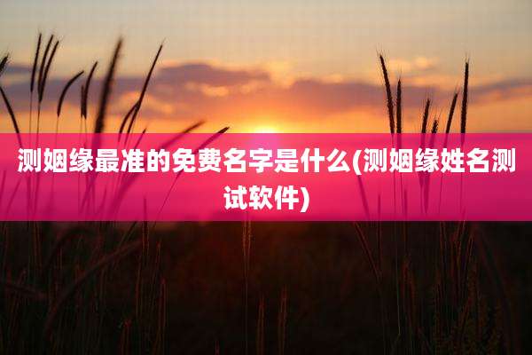 测姻缘最准的免费名字是什么(测姻缘姓名测试软件)