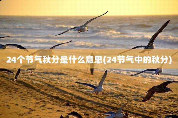 24个节气秋分是什么意思(24节气中的秋分)