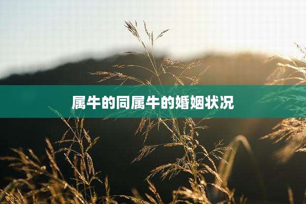 属牛的同属牛的婚姻状况